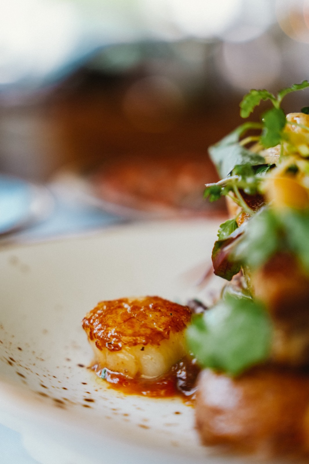 Close-up of a seared scallop dish photographed for a restaurant